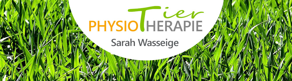 Tierphysiotherapie Sarah Wasseige